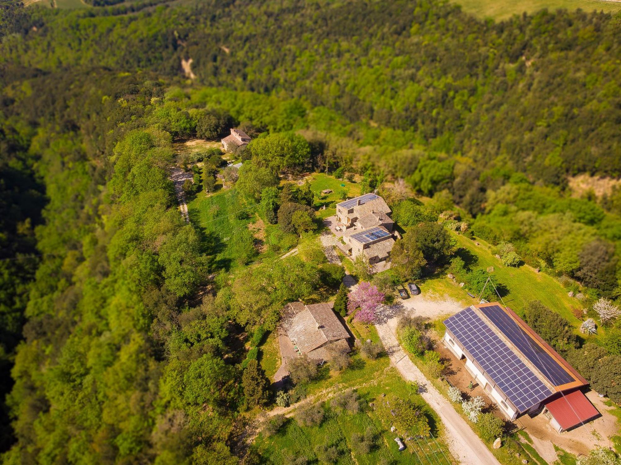 Agriturismo Fattoria Walden Ficulle Exterior photo